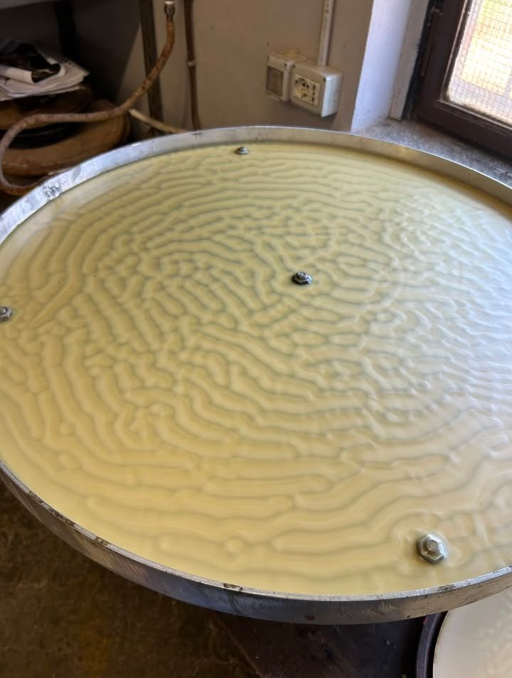 Louis Maddox tweet media