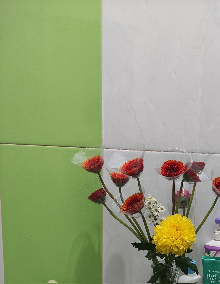 kucireng tweet media