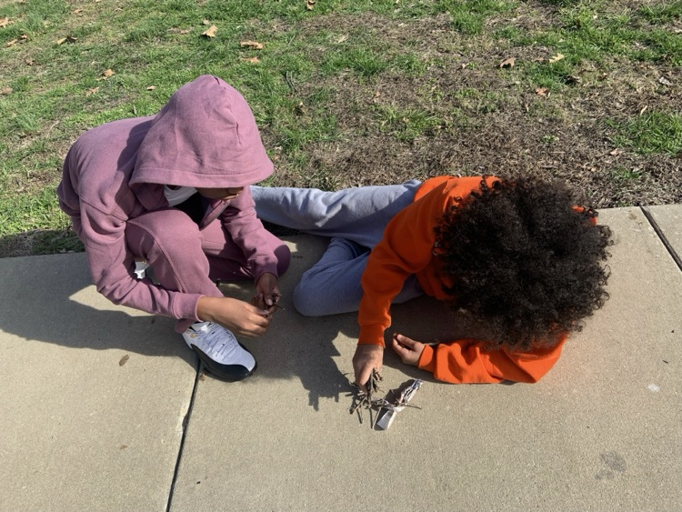Venicereddevil's tweet photo. Grade 5-8 students explored the Godfrey Nature Park.  Check out our fun filled day. https://t.co/N0FWhRwhJz