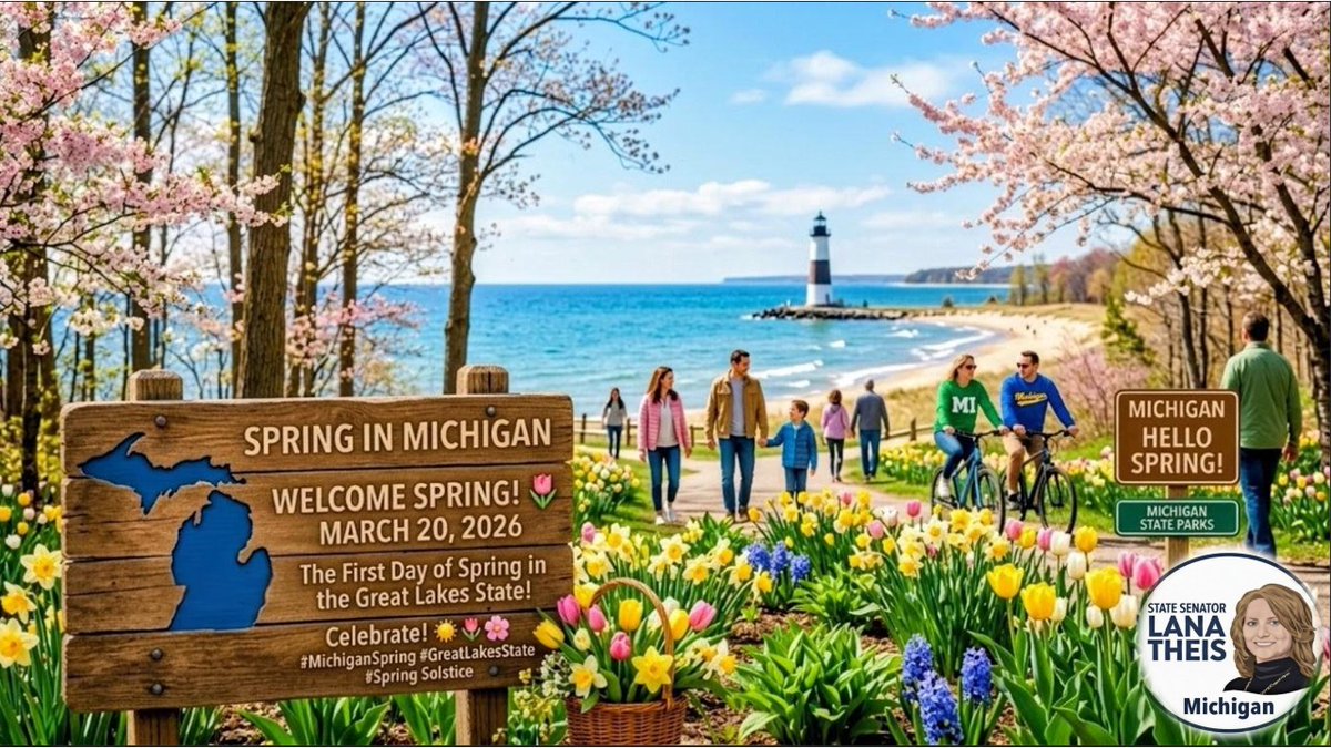 Senator Lana Theis tweet media