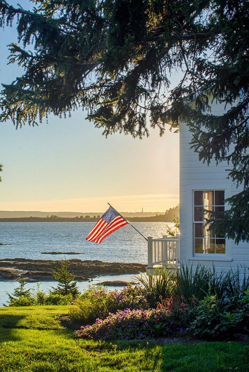 Elle Lookbook tweet media