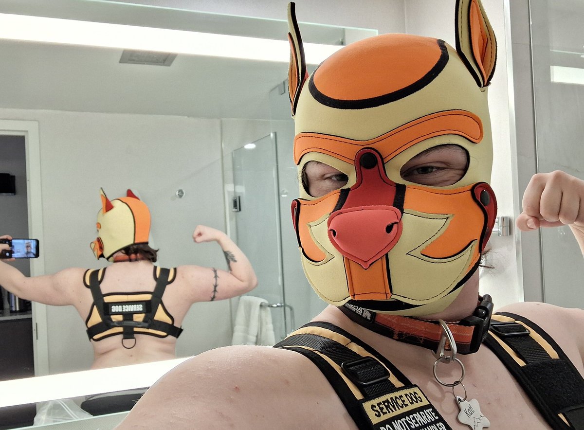 Pup Kat!! SOON🔜FUR-EH!! tweet media