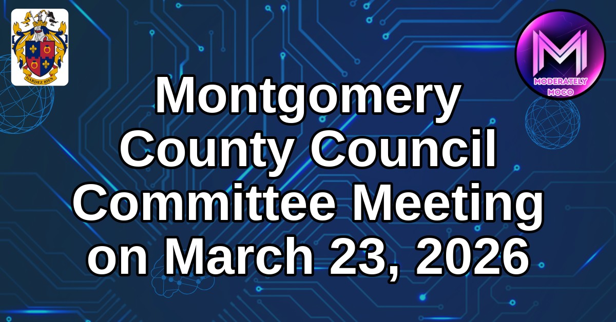 MocoFeed tweet media