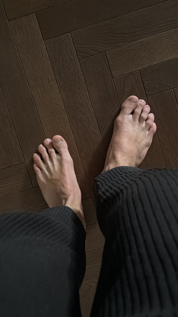 L A U R O tweet media