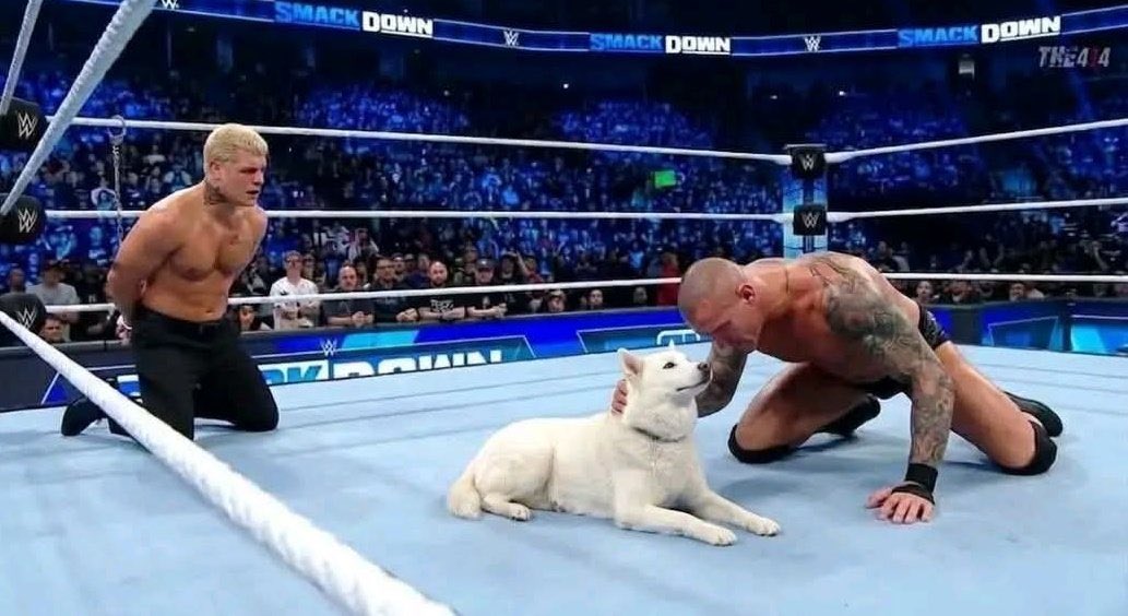 i dont have a name tweet media