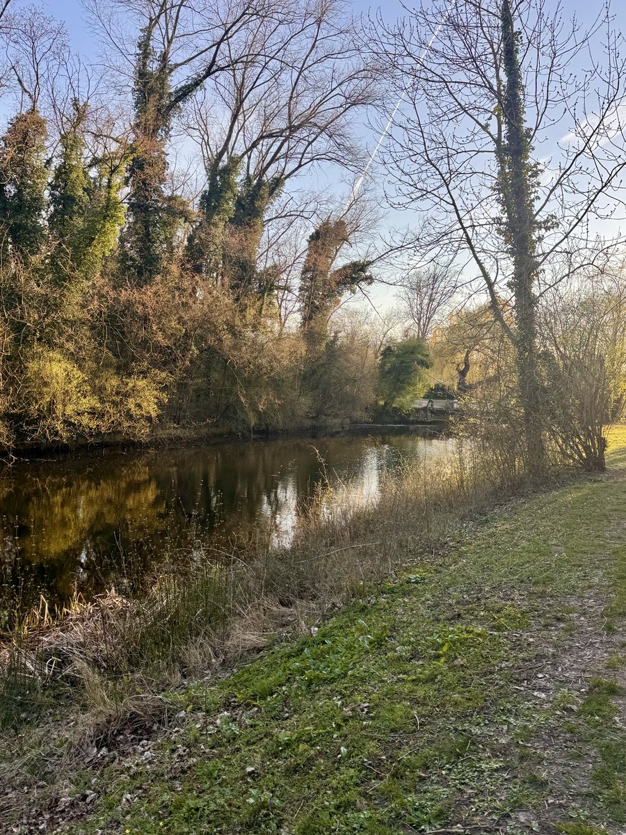 cris 59279 tweet media