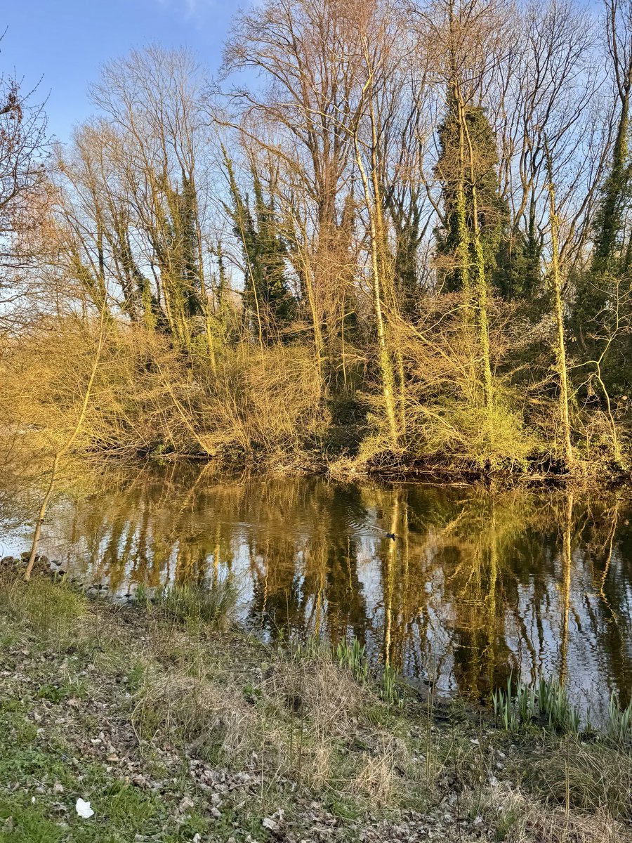 cris 59279 tweet media