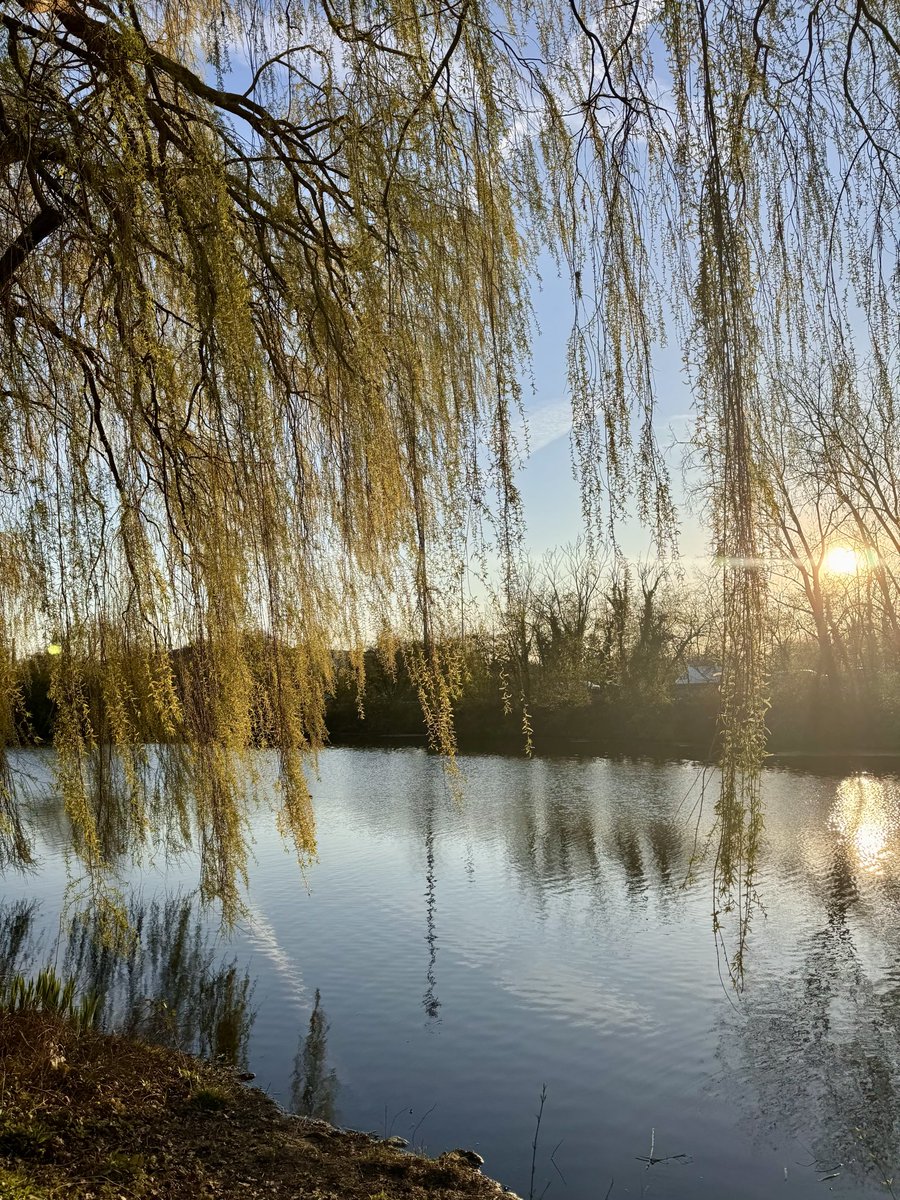 cris 59279 tweet media