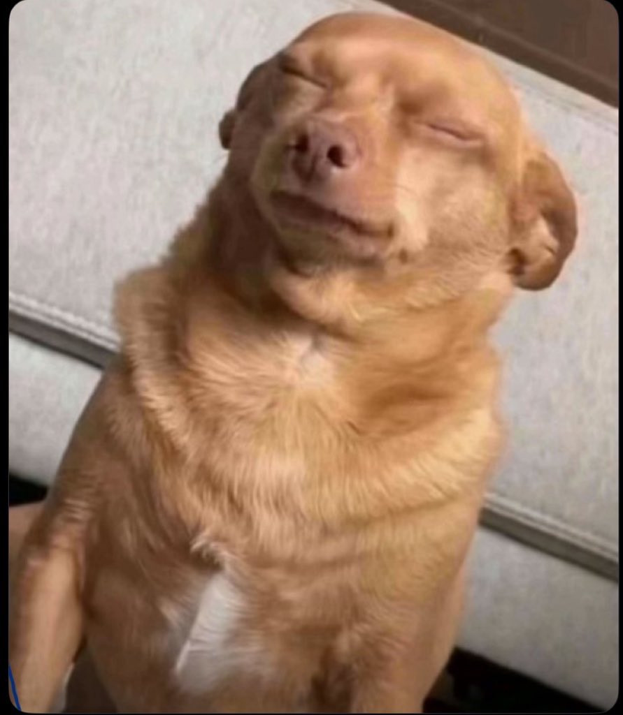 📸Justin Harris 📸 tweet media