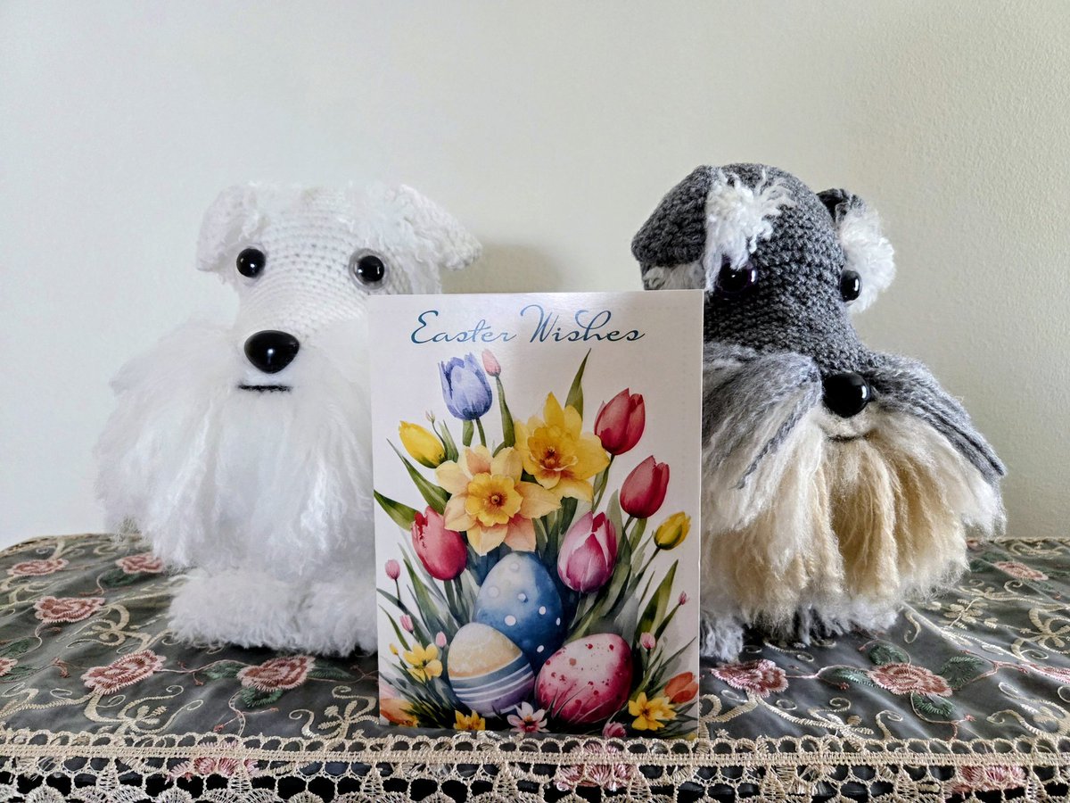 🇺🇸 🐾🌈Angel Cookie & 🌈Angel Muffin🐾 🇺🇸 tweet media