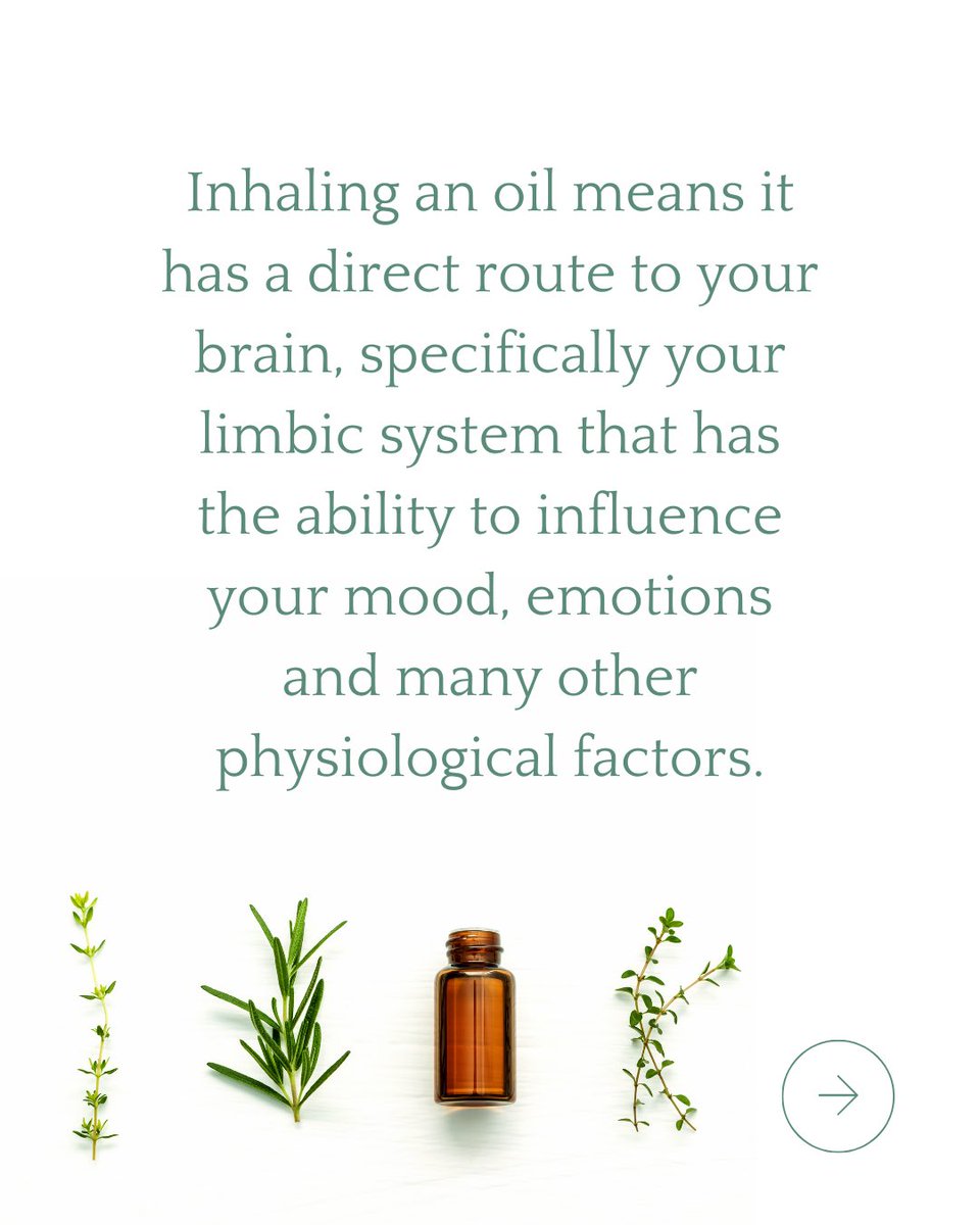 Louisa Alessandra Pini tweet media