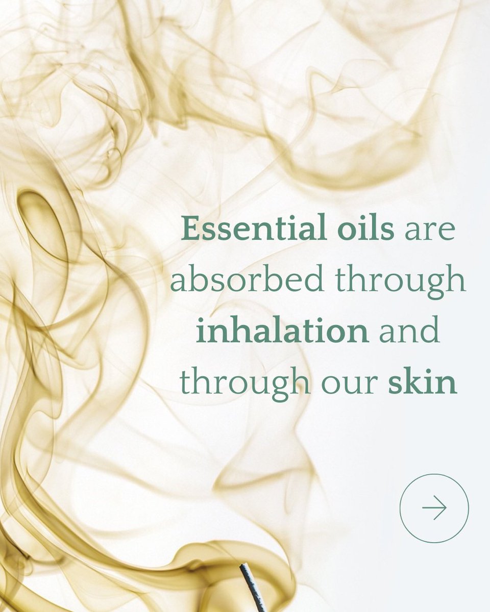 Louisa Alessandra Pini tweet media