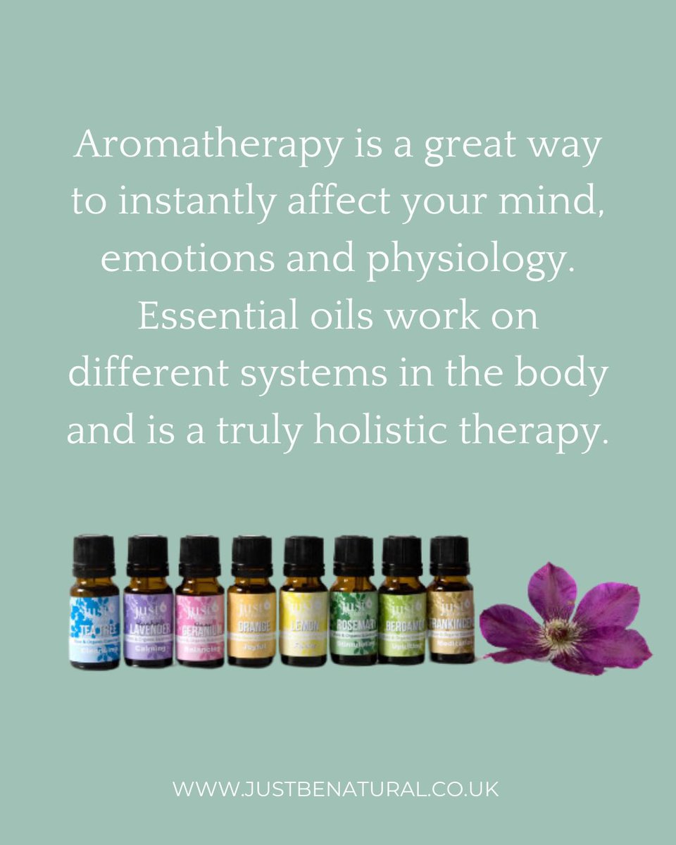 Louisa Alessandra Pini tweet media