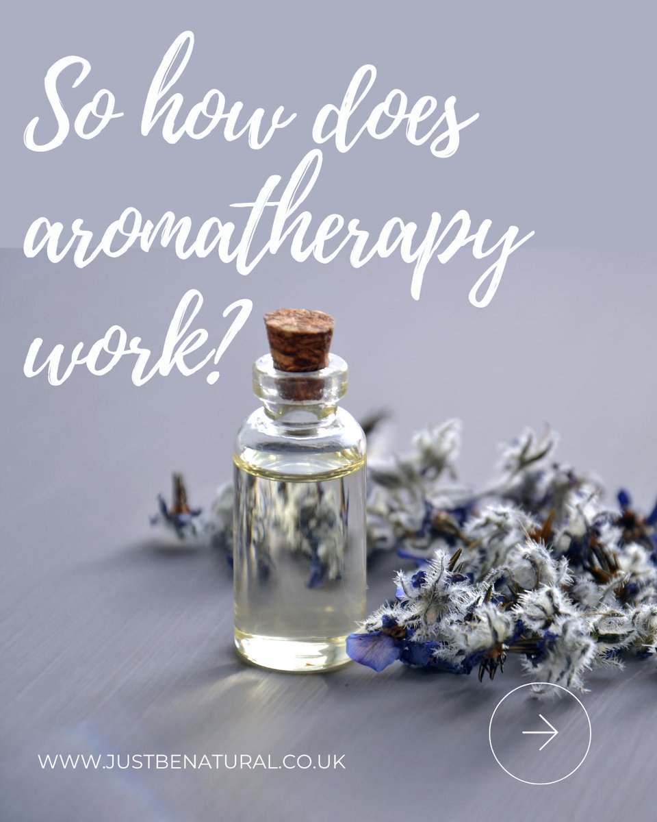 Louisa Alessandra Pini tweet media