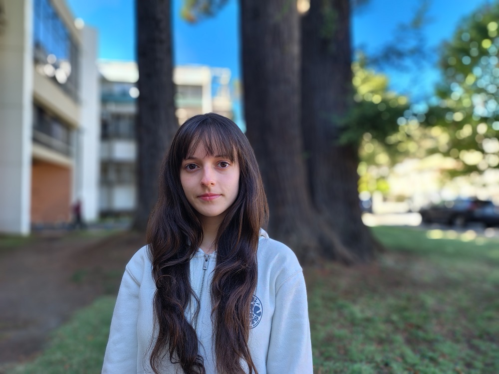 Ingeniería Universidad de Concepción tweet media