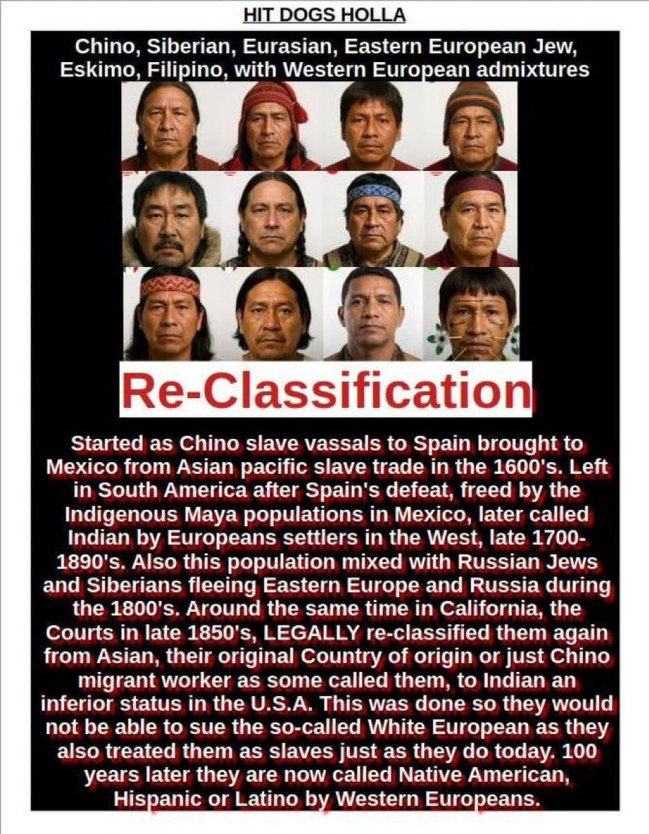 BigCoop3 tweet media