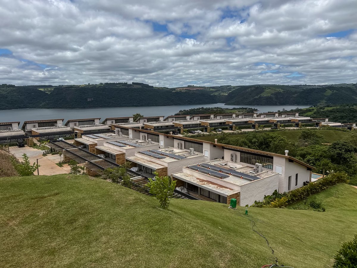 Luiz Vassallo tweet media