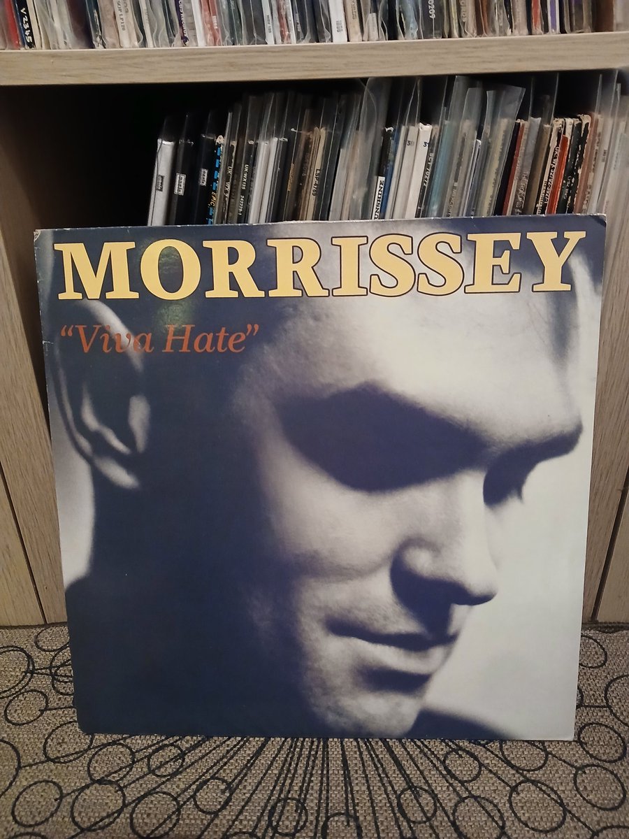 🌼 Claire 🌸 New Account 🌼 tweet media