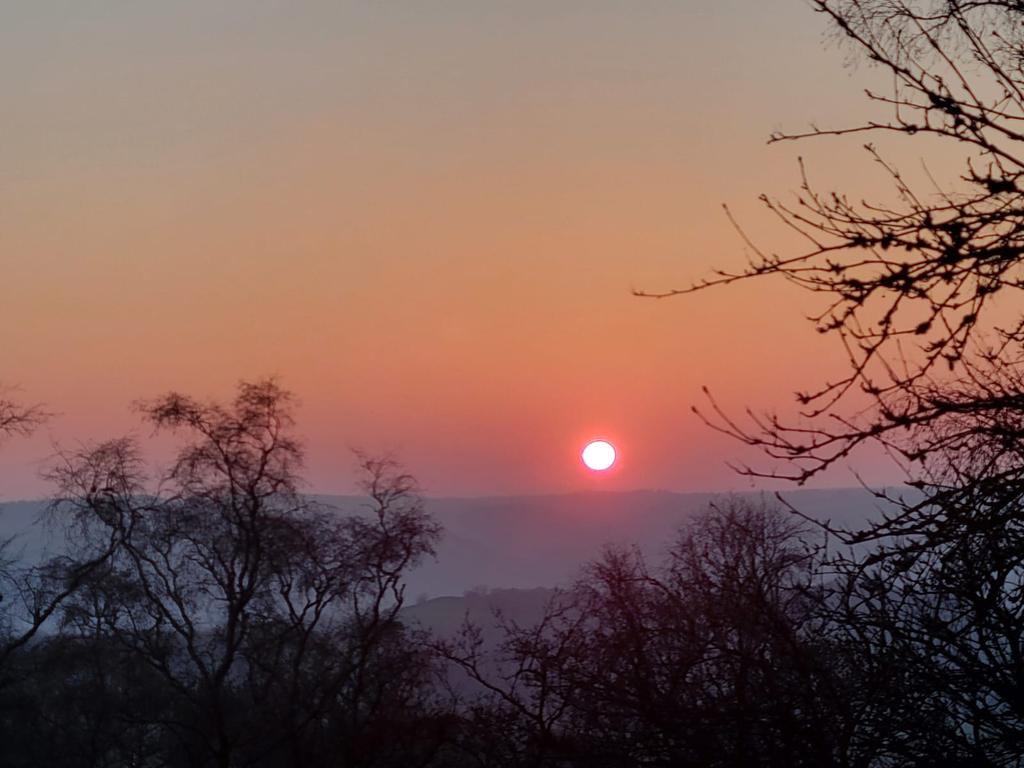 Days since Rishi moved out of number 10.🤭 tweet media