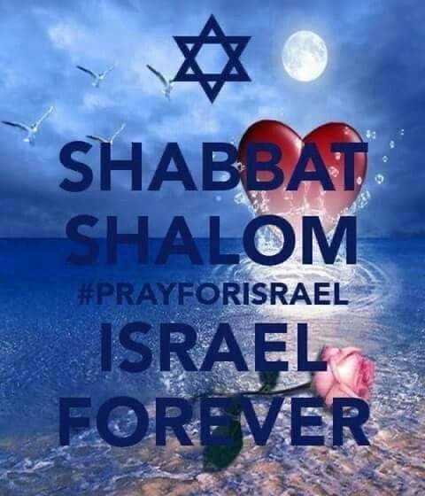 Devir Ben Avraham tweet media