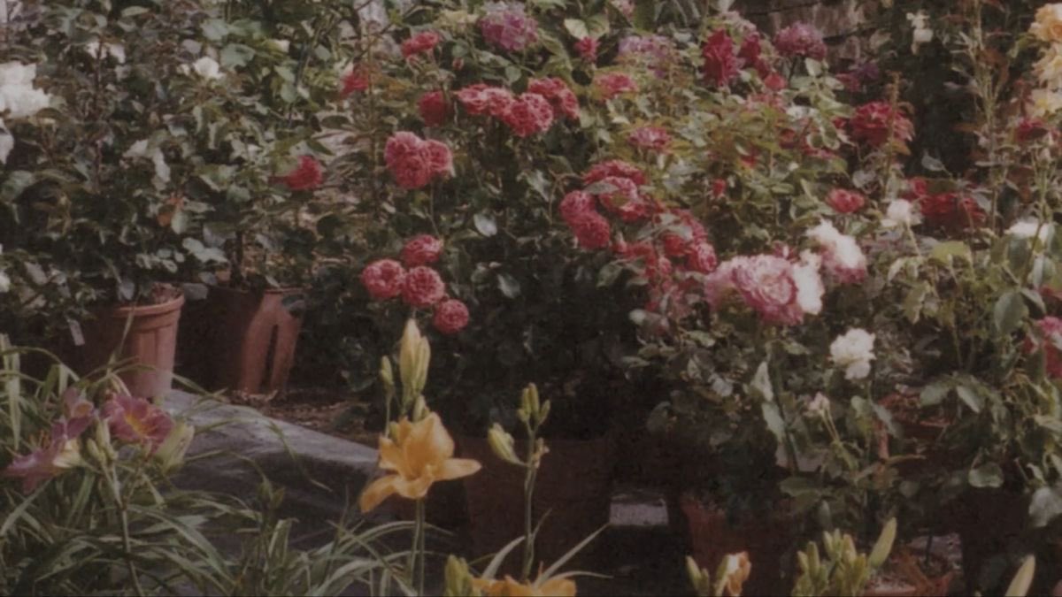 babybunnyrry's tweet image. first day of spring 🪷🐇