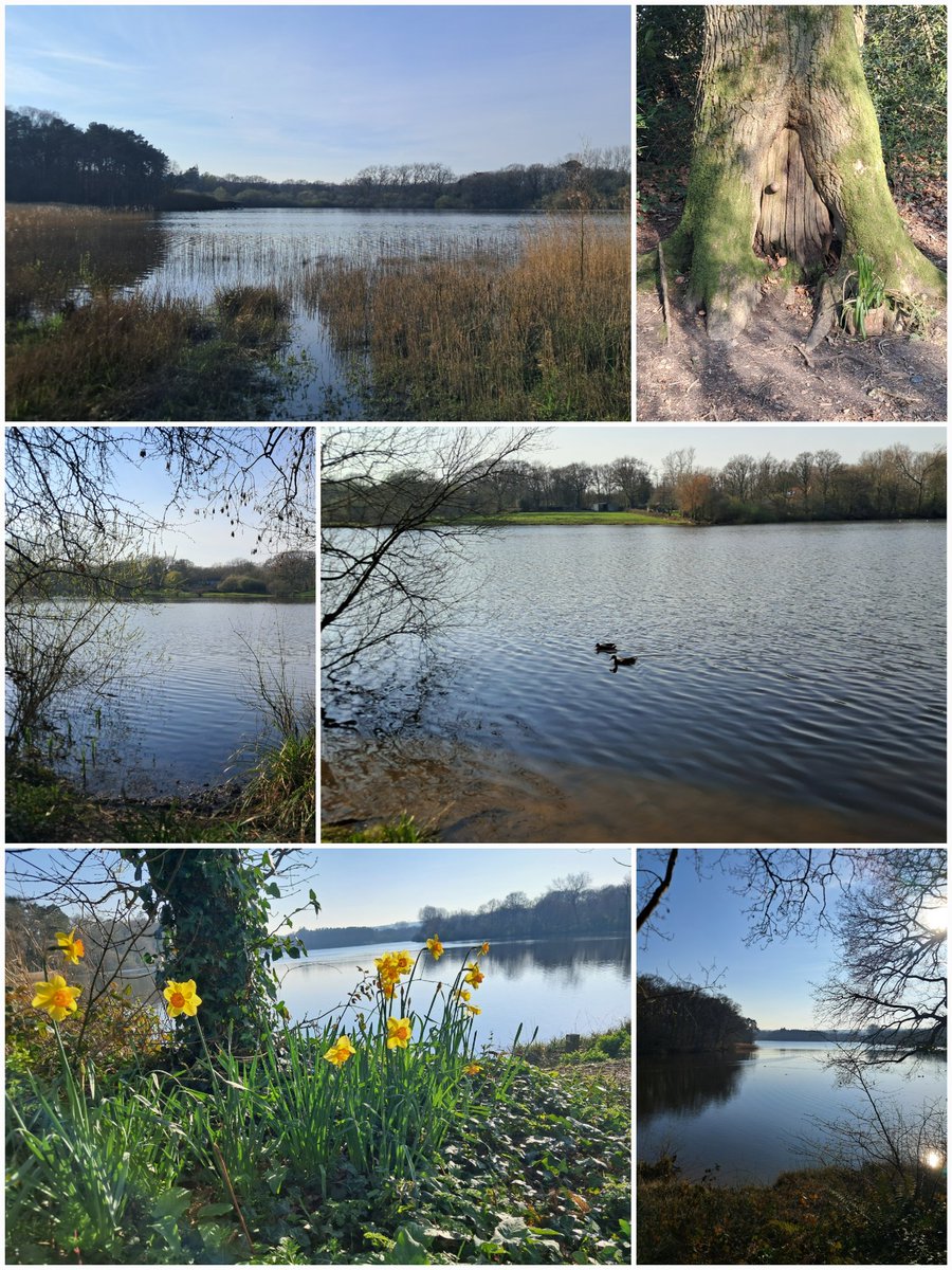 Craig from Devonshire 🚴♂️👋 tweet media