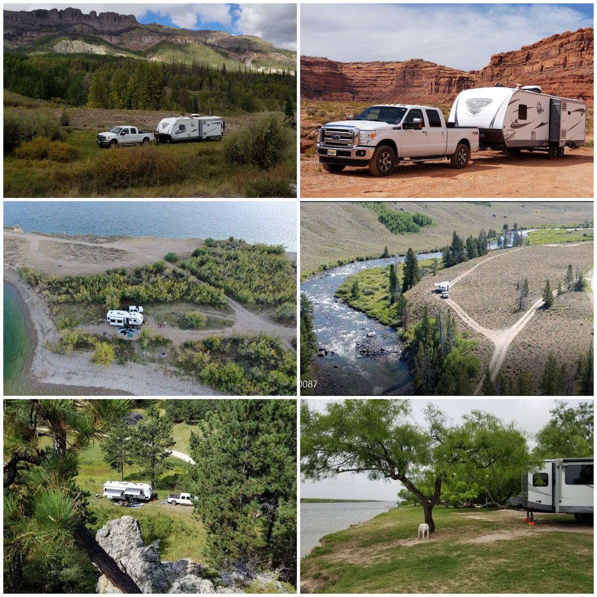 Lorraine Lanning 🙂 🍖🍗🏕🦉🦅🦢🐦🦆 tweet media