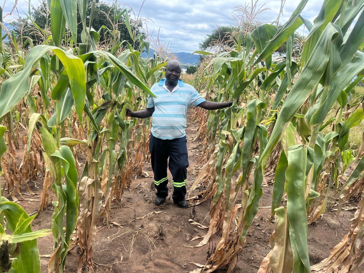 Grain SA Farmer Development Programme tweet media