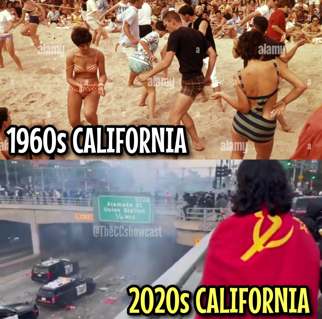 The Constitutional Conservative tweet media