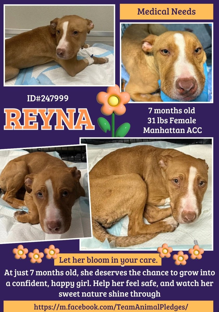 Char Bolen tweet media