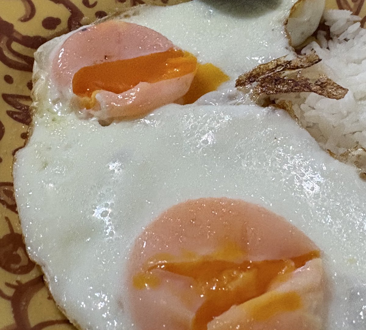 giovanana é MED UFF tweet media