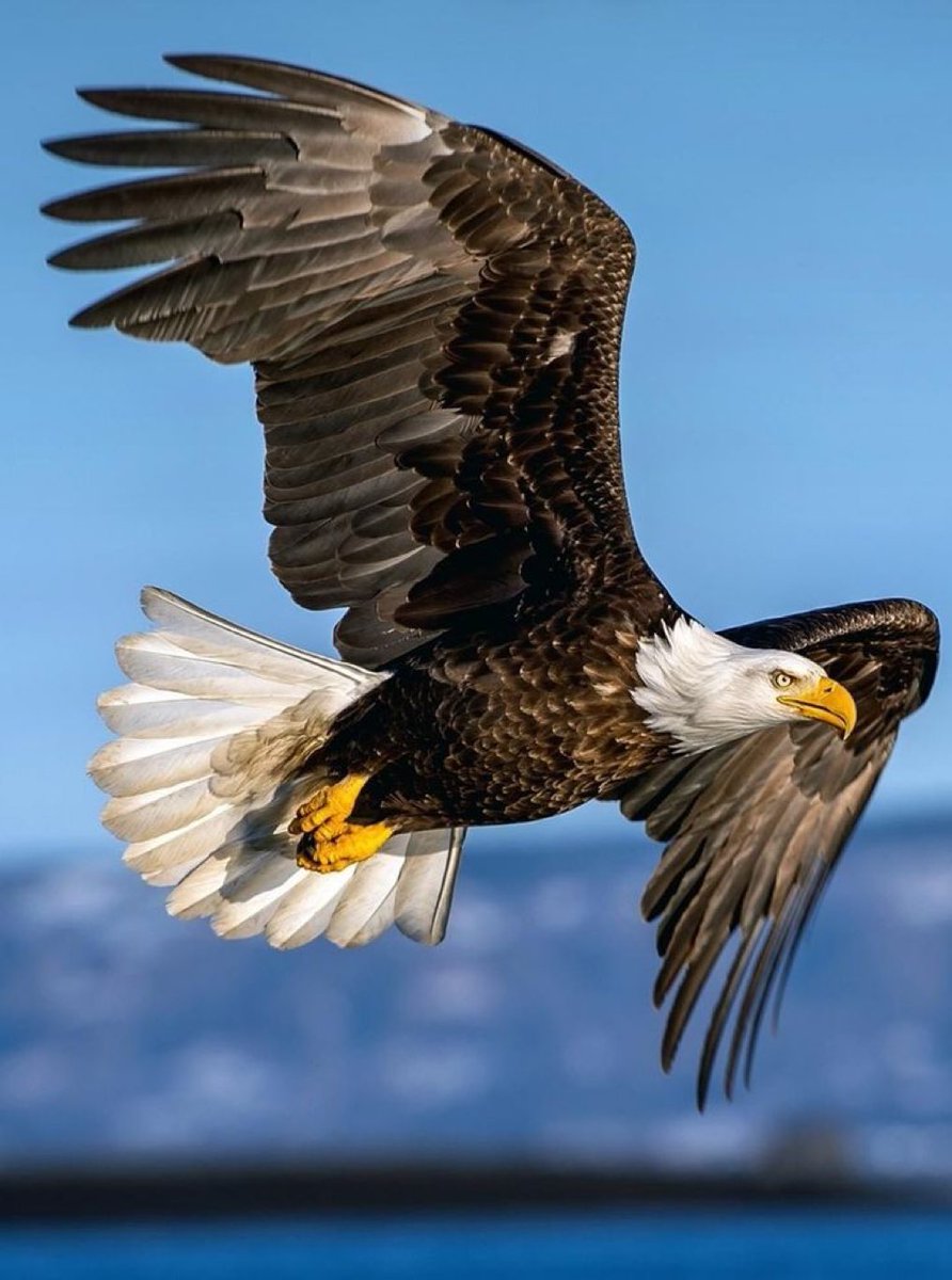 Thomas Ray Matiza tweet media