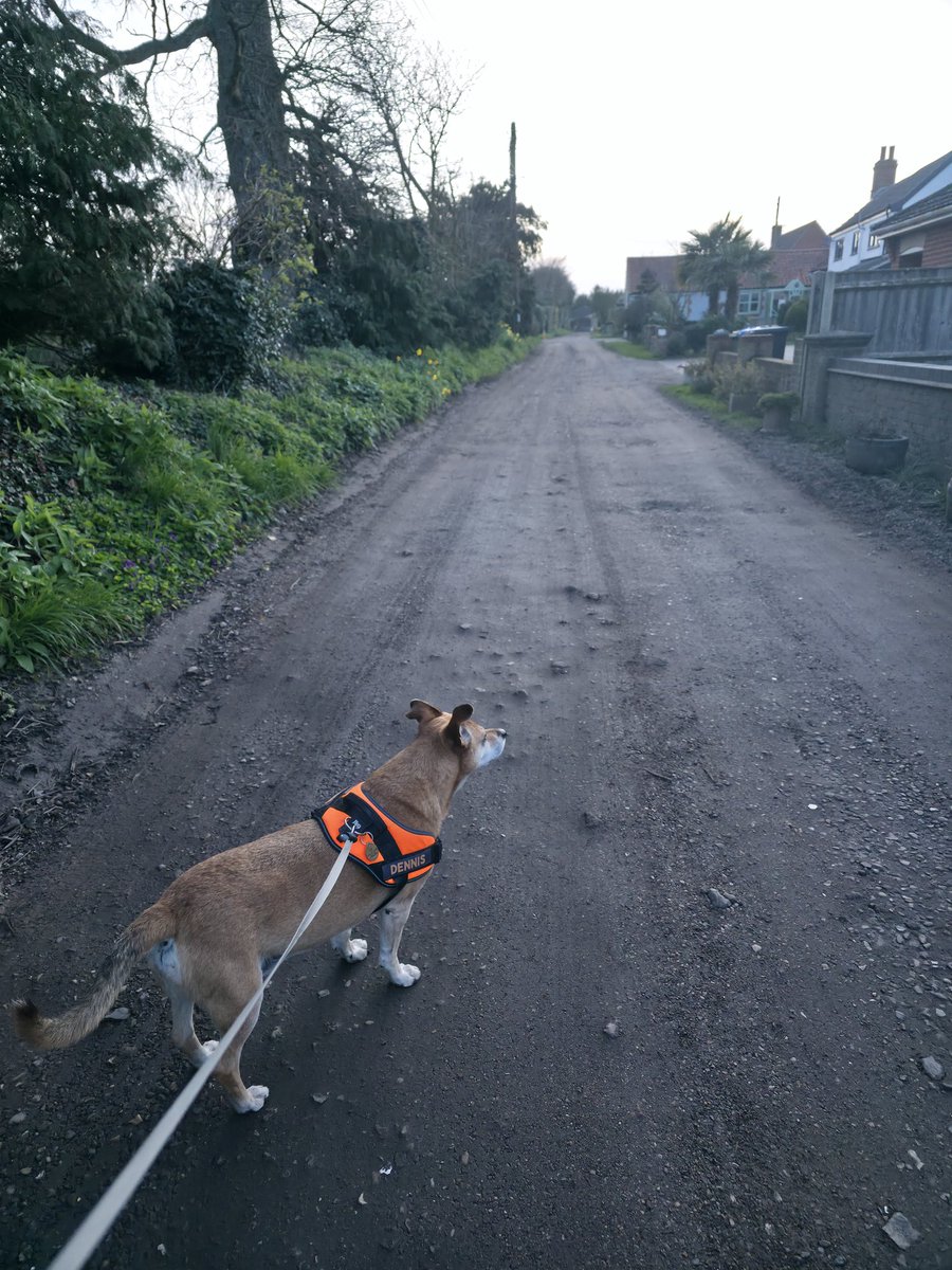 Shaun Cole tweet media