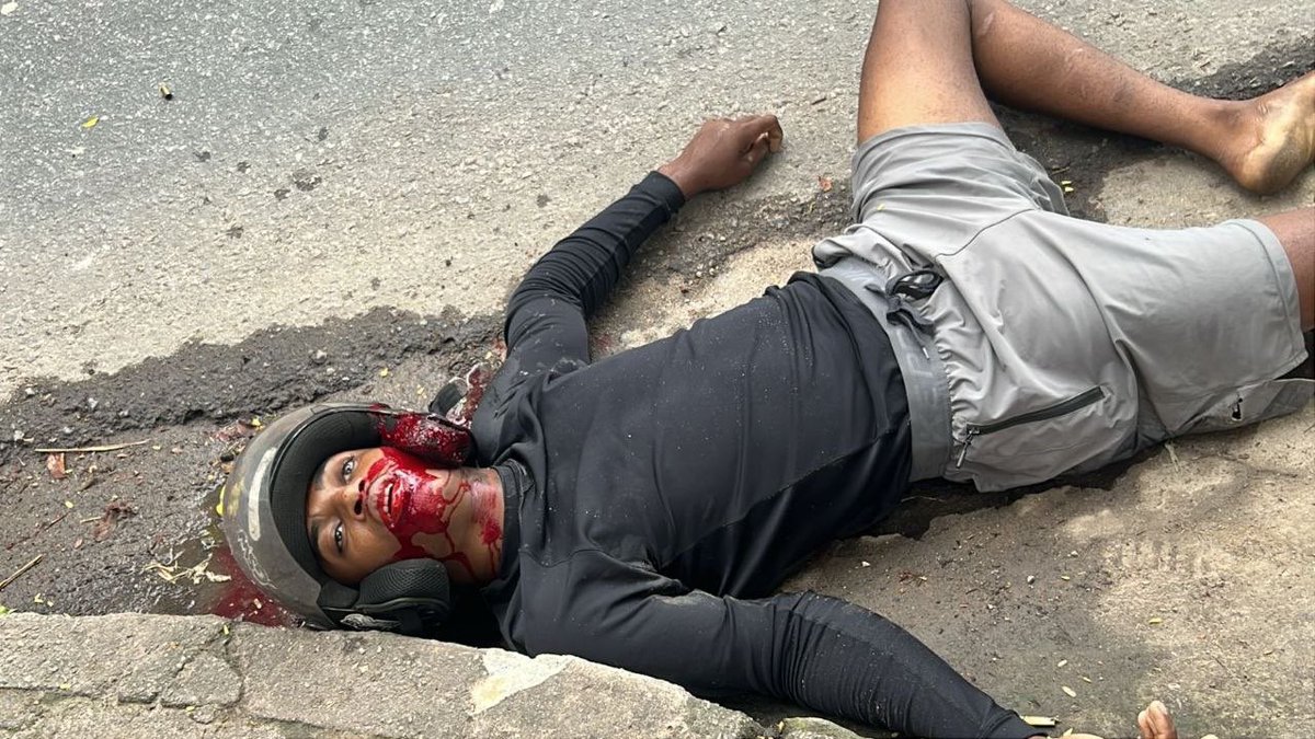 𝙓 𝘼𝙡𝙚𝙧𝙩𝙖 🚨 tweet media