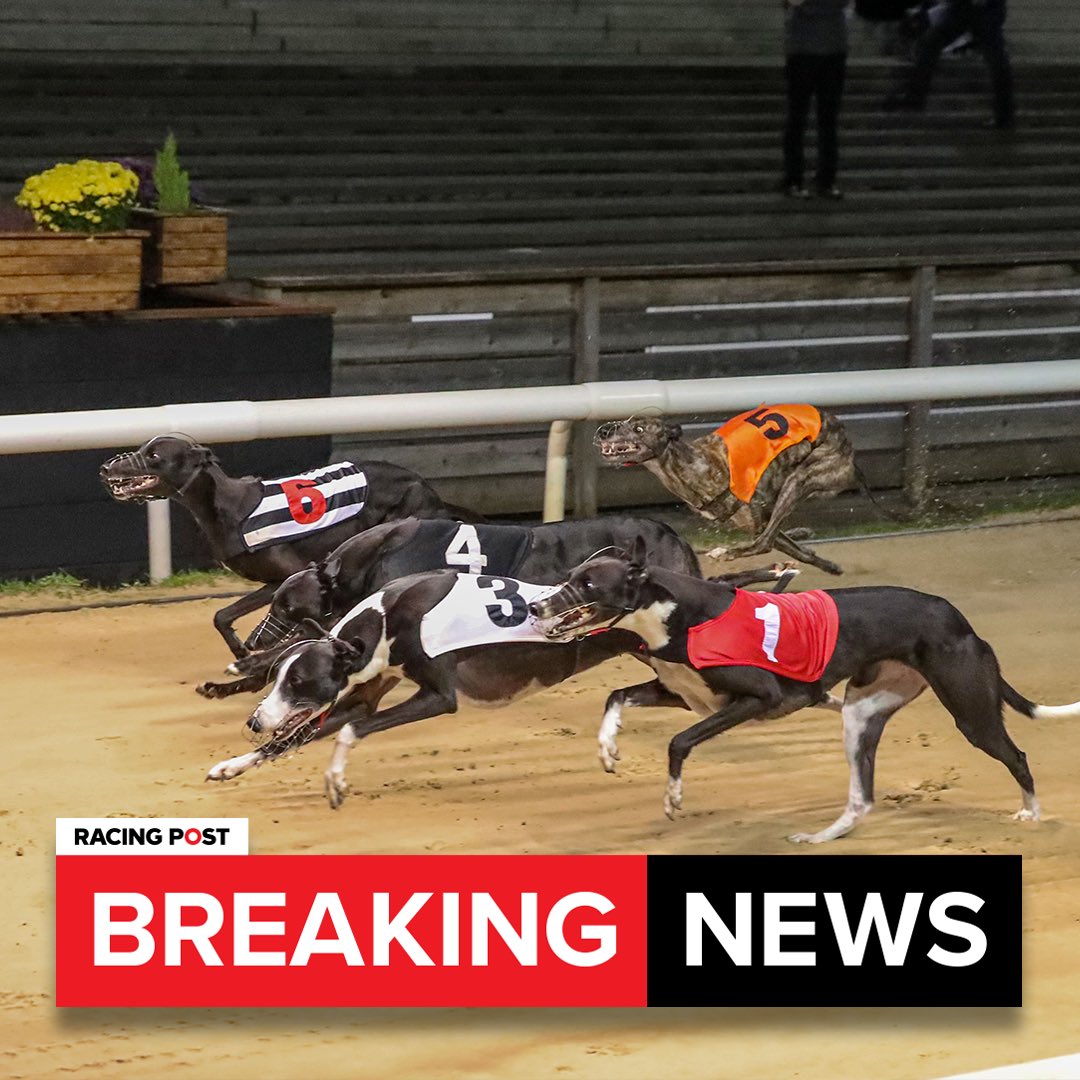 @RPGreyhounds tweet media