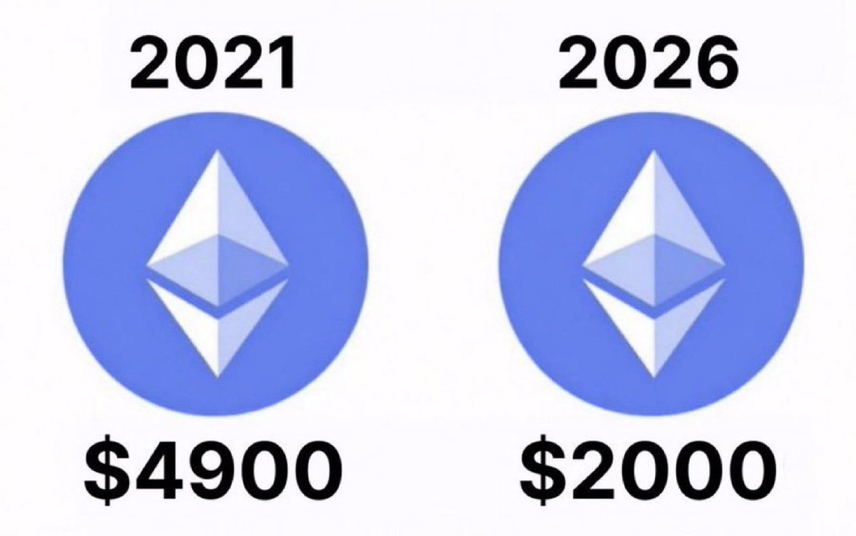 Mr. Whale tweet media