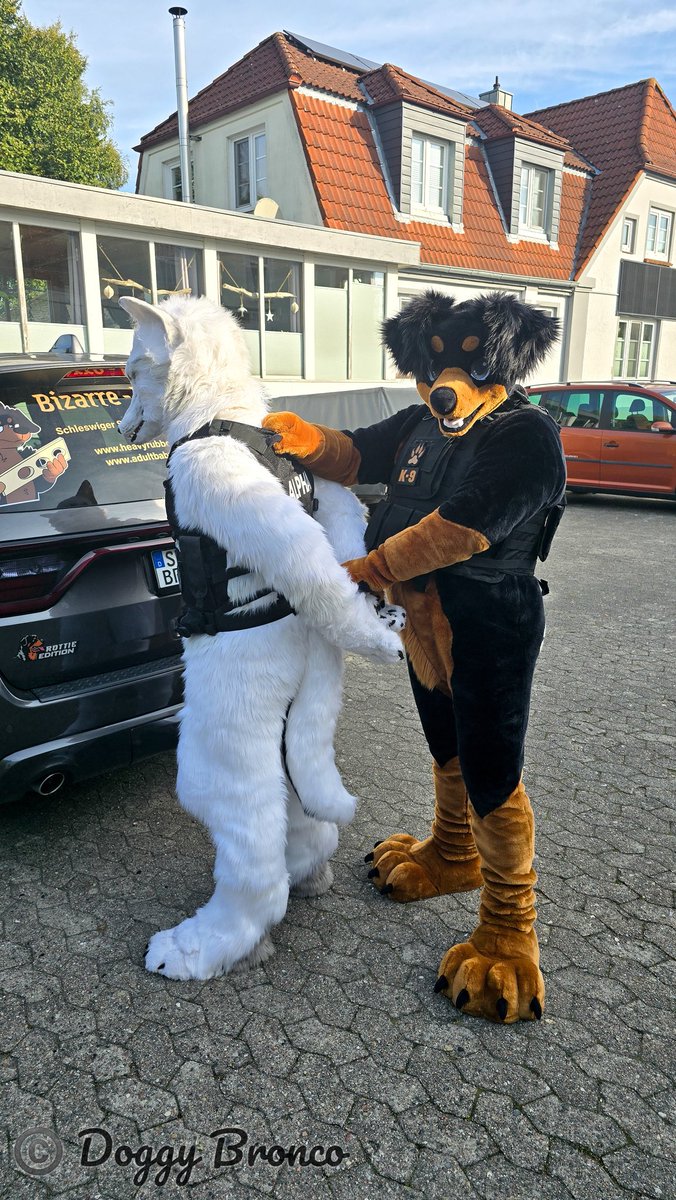 🐾Bronco 🐾 🔜 Folsom | EF 30 tweet media