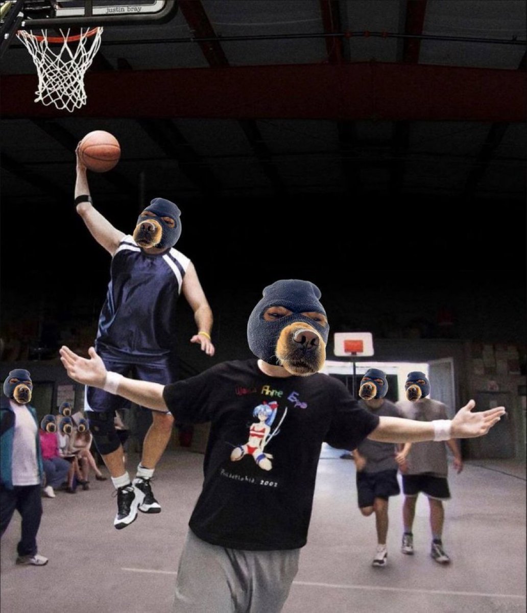 TROLLOWEEN DEV tweet media