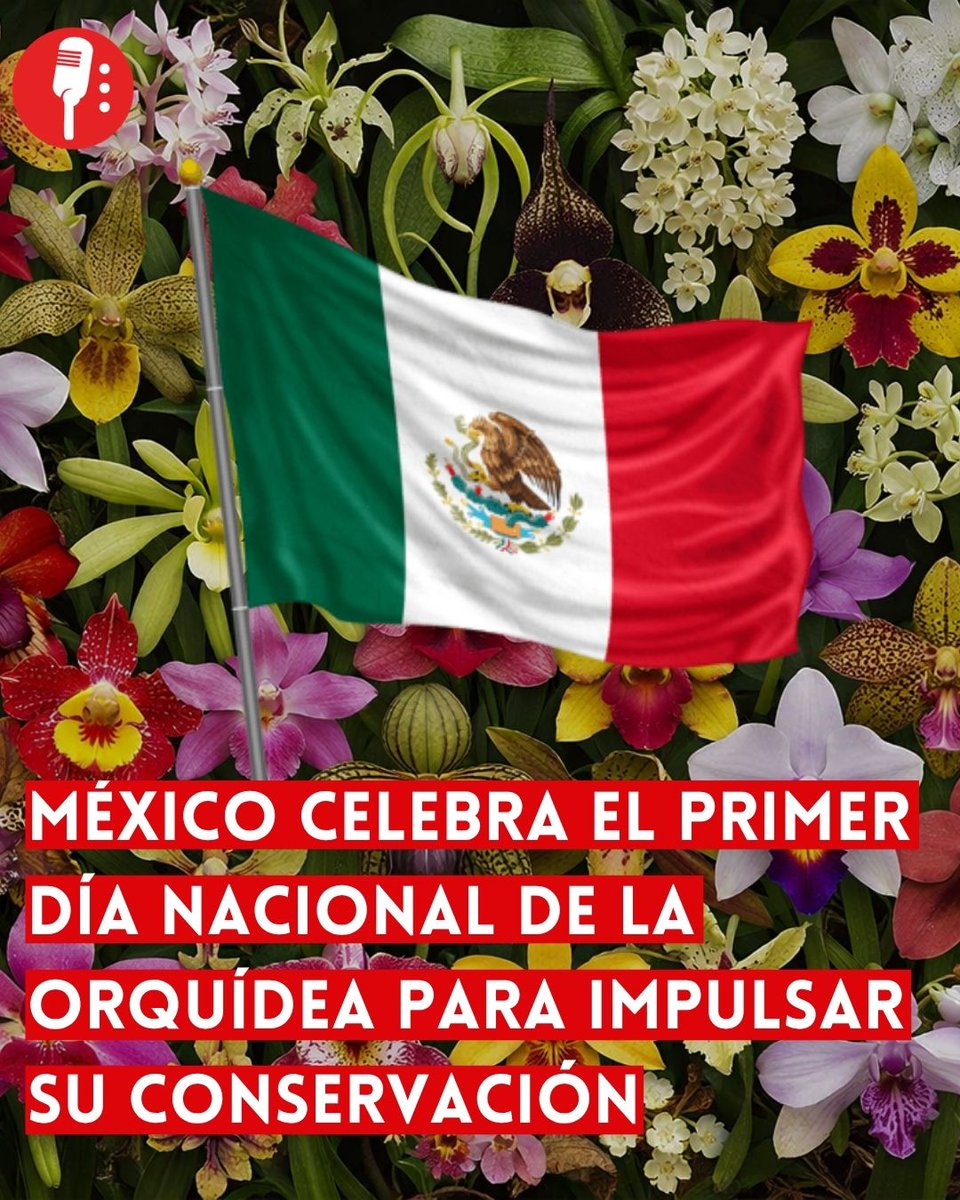 Los Reporteros MX tweet media