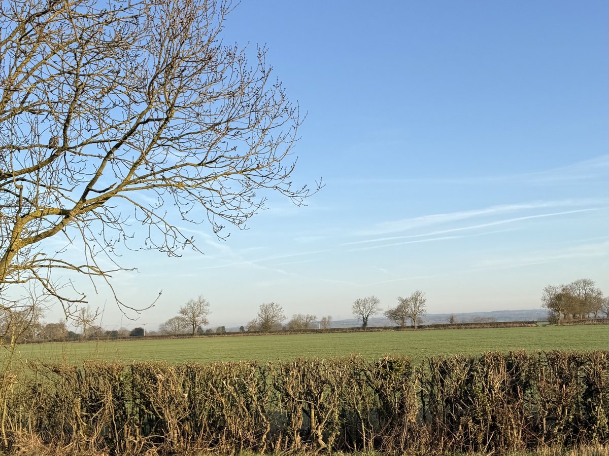 Denham Kite tweet media