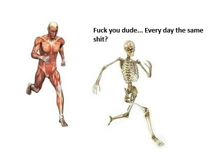 masqueico travequeiro médio cor de papelão 🏳️🌈 tweet media