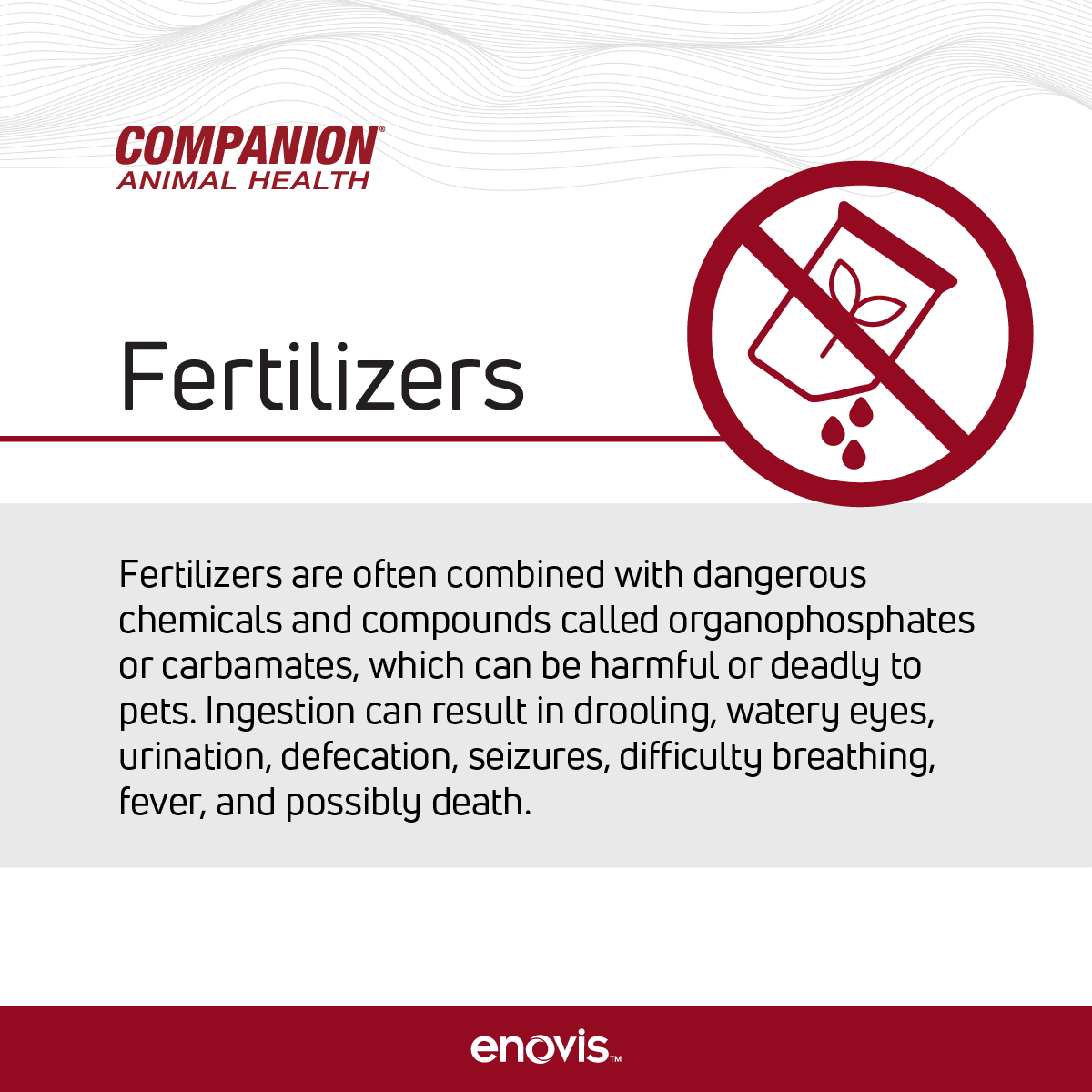 Companion Animal Health tweet media