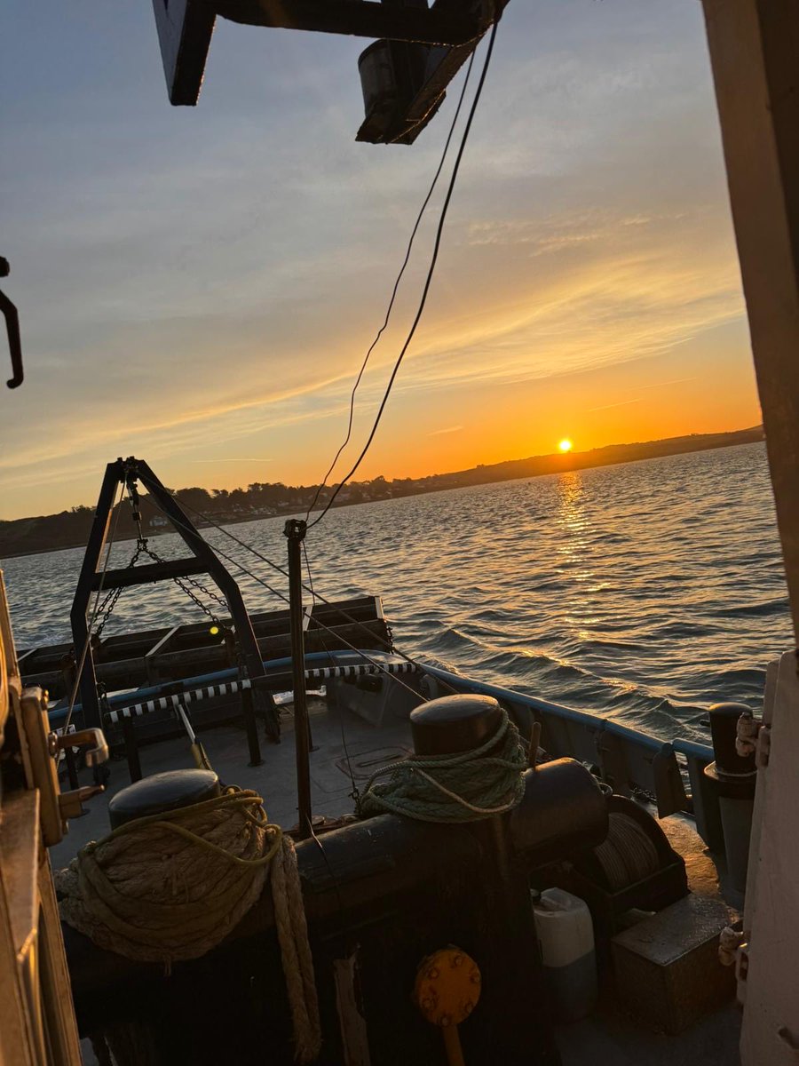 Richard Allan tweet media