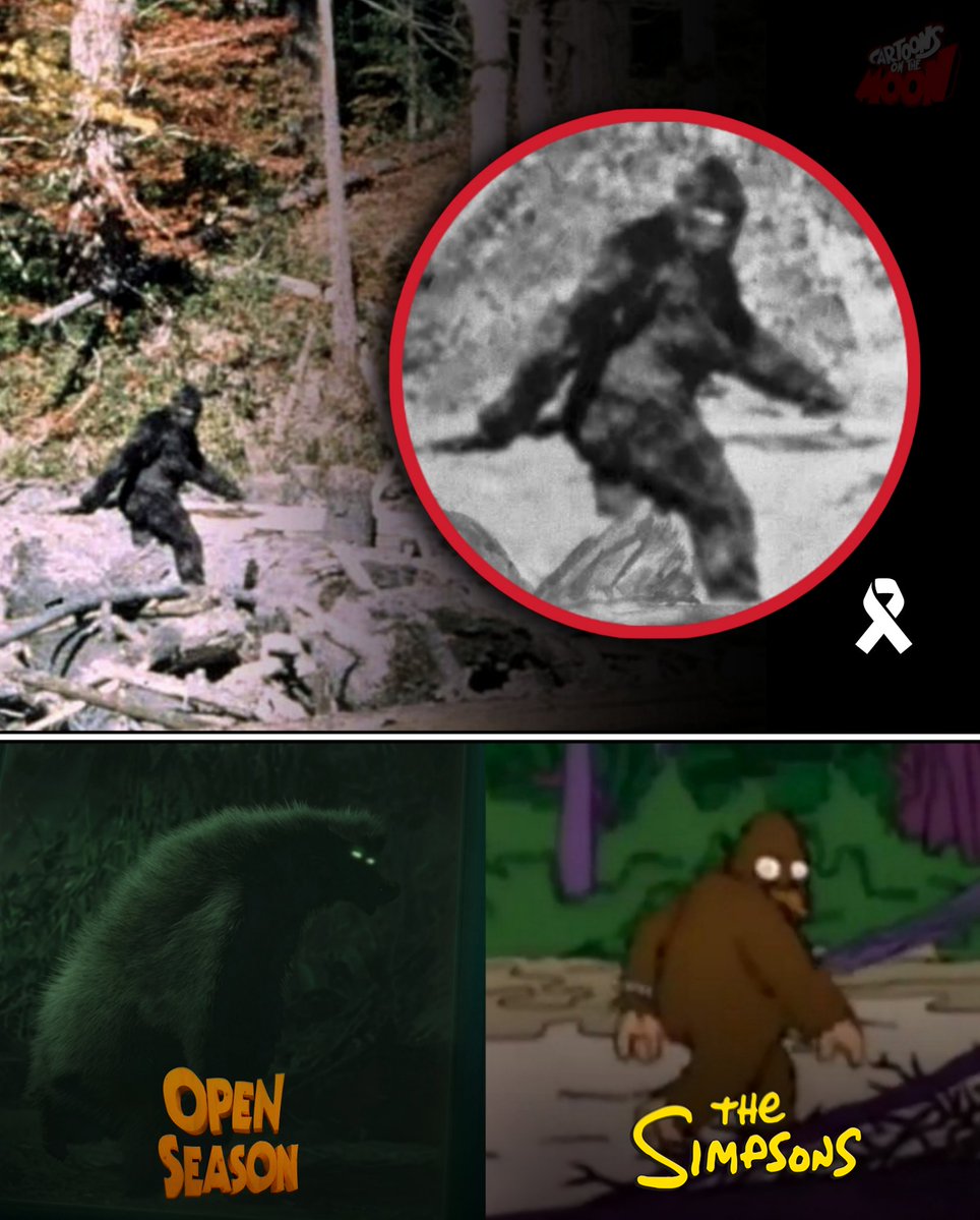 Cartoons On The Moon tweet media