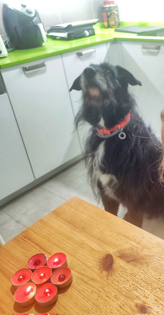 Laura 🏳️🌈 🔴🟡🟣 💙💛 tweet media