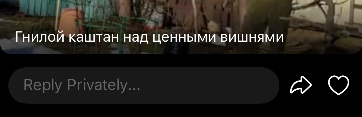 аня кильгишова tweet media