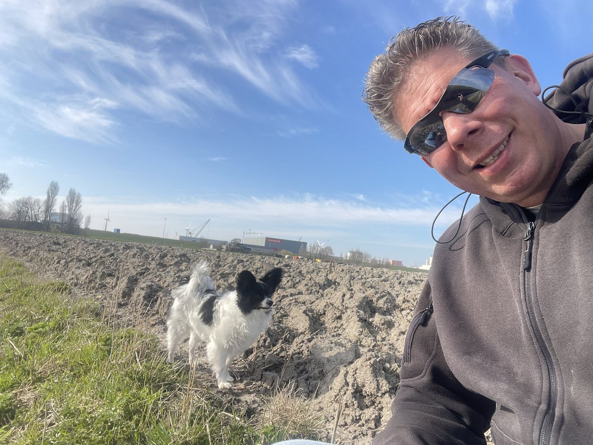 Medieval Digger tweet media