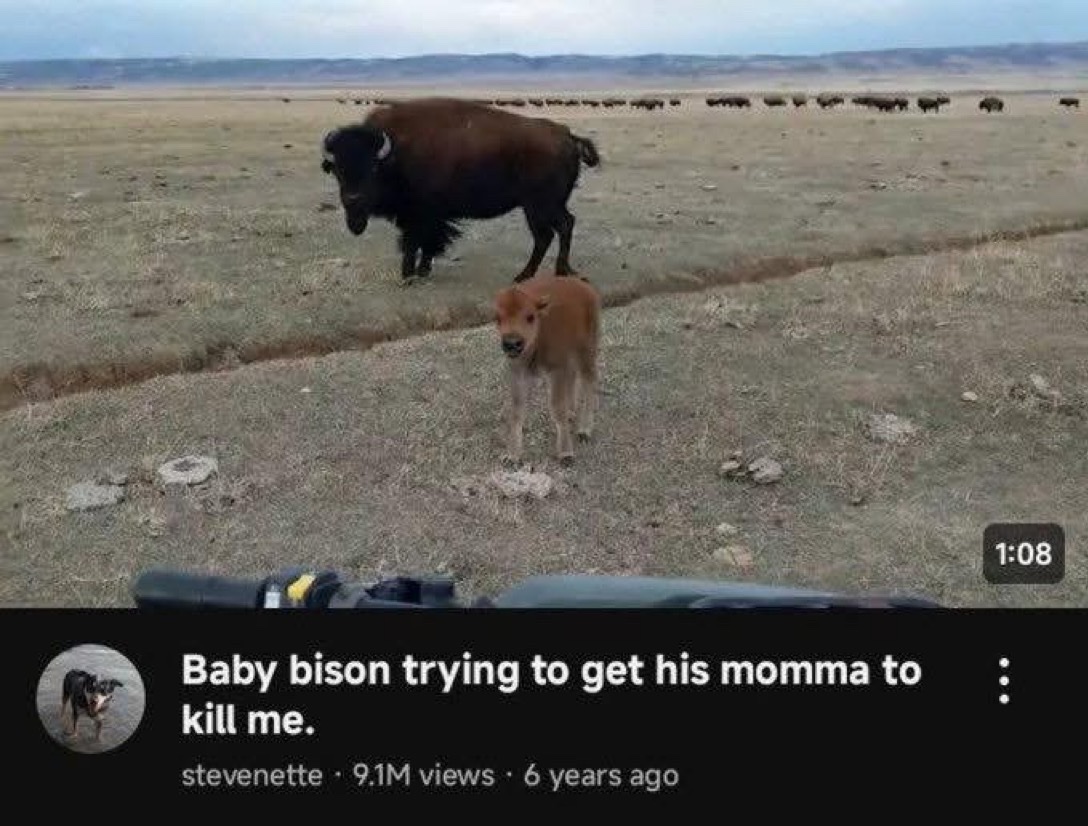 The Greatest Burger King Facts 🍉🐷👑 tweet media