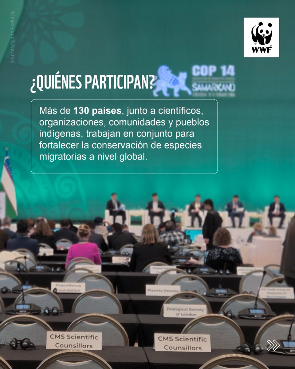 WWF-Paraguay tweet media