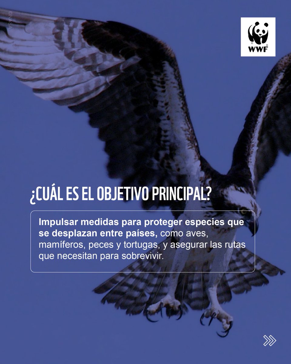 WWF-Paraguay tweet media